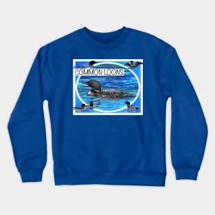 Common Loon Crewneck Sweatshirt